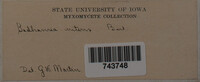 Image Associated With the Occurence